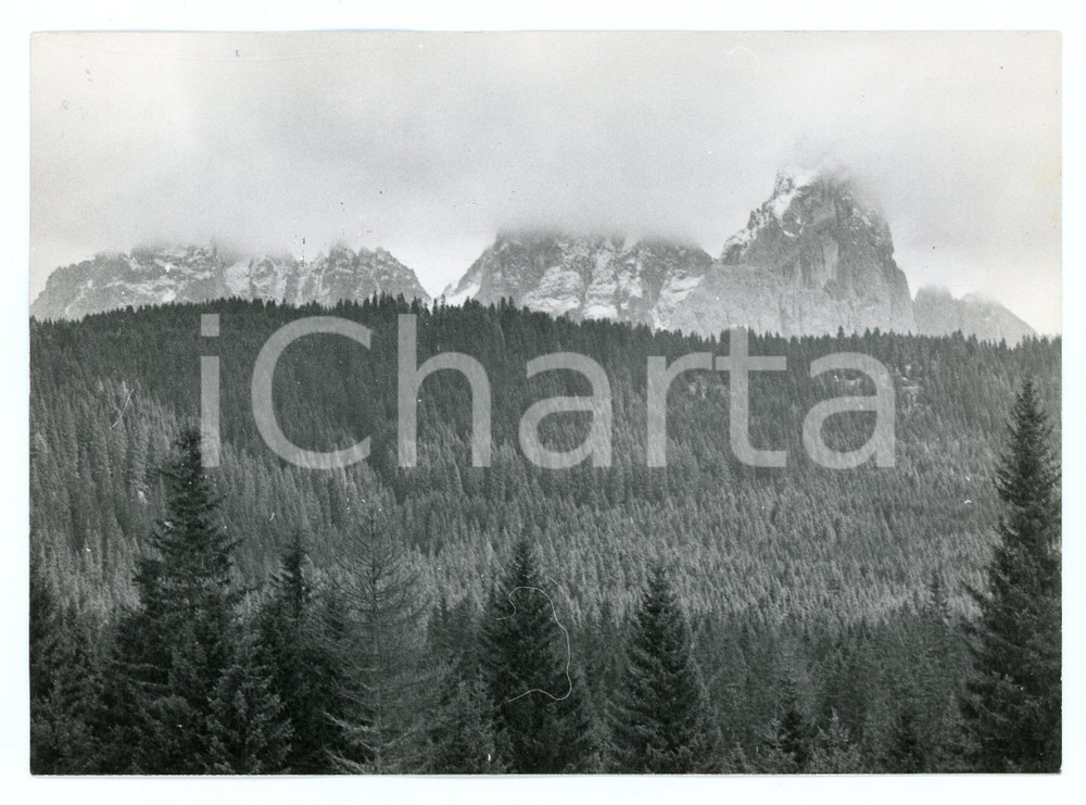 1979 CIMON DELLA PALA Pale di San Martino - Panorama - Foto 18x13 cm Fotografia d'epoca con didascalia manoscritta al verso.  FAIR/discreto Lievi smussature agli angoli Formato: 18x13 cm originale e autentica 1