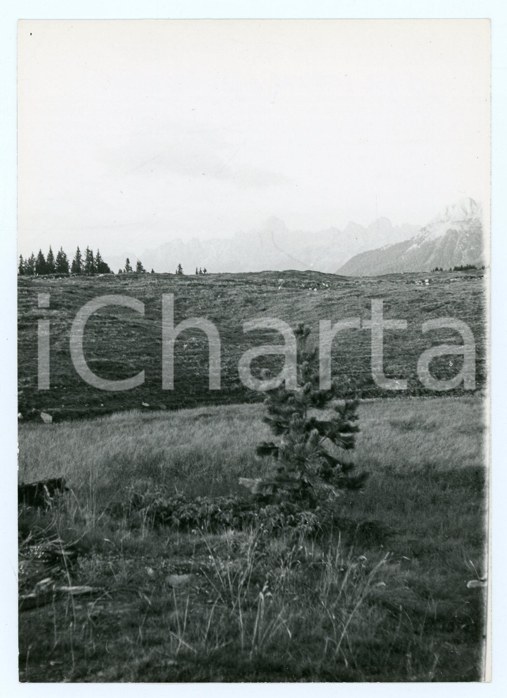 1975 PASSO DI LAVAZÈ (TN) Latemar e Catinaccio DOLOMITI Foto 13x18 cm