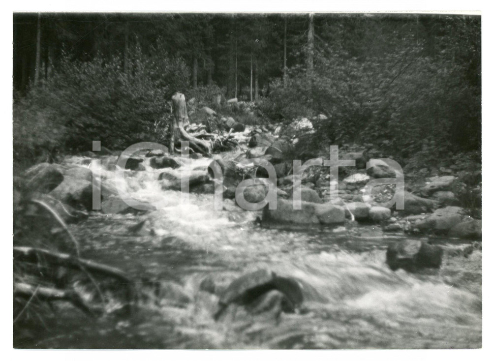1979 NOVA PONENTE Frazione PONTE NOVA Rio di Passo di LavazÃ¨ - Foto 18x13 cm Fotografia d'epoca con didascalia manoscritta al verso.  FAIR/discreto Lievi smussature agli angoli Formato: 18x13 cm originale e autentica 1