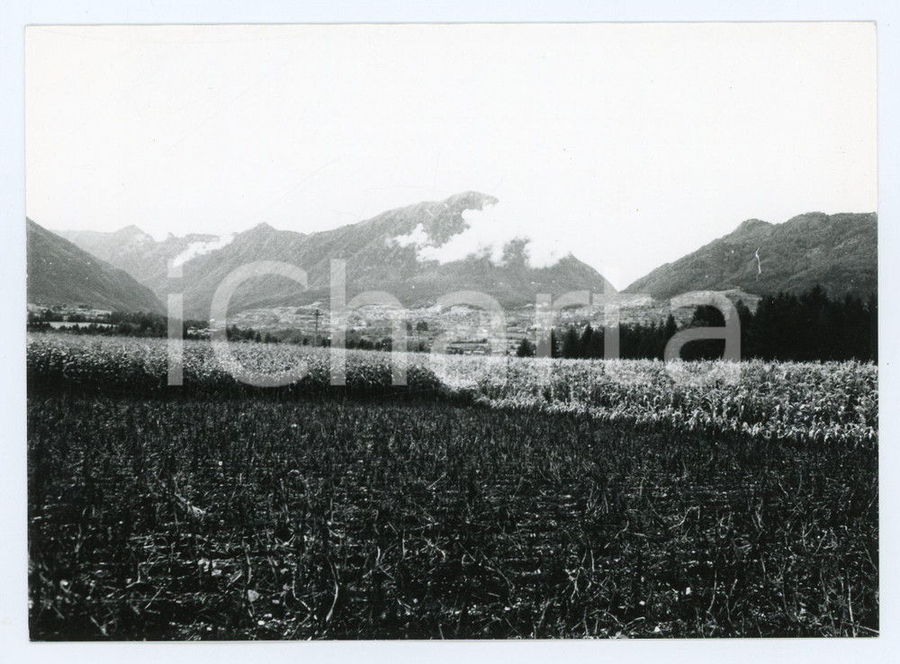 1977 COMANO TERME Frazione PONTE ARCHE Campo Lomaso - Foto 18x13 cm (1) Fotografia d'epoca con didascalia manoscritta al verso.  FAIR/discreto Lievi smussature agli angoli Formato: 18x13 cm originale e autentica 1