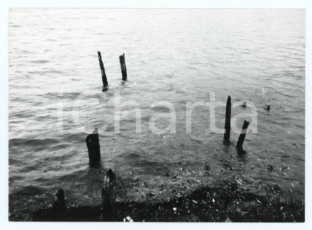 1977 LAGO DI LEDRO Resti di palafitte a MOLINA DI LEDRO - Foto 18x13 cm (1) Fotografia d'epoca con didascalia manoscritta al verso.  FAIR/discreto Lievi smussature agli angoli Formato: 18x13 cm originale e autentica 1