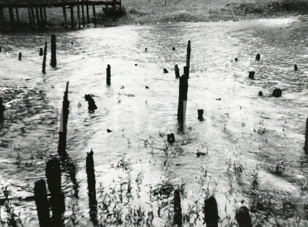 Fotografia d epoca originale 1977 LAGO DI LEDRO Resti di palafitte a MOLINA DI LEDRO  Foto 18x13 cm 2 1