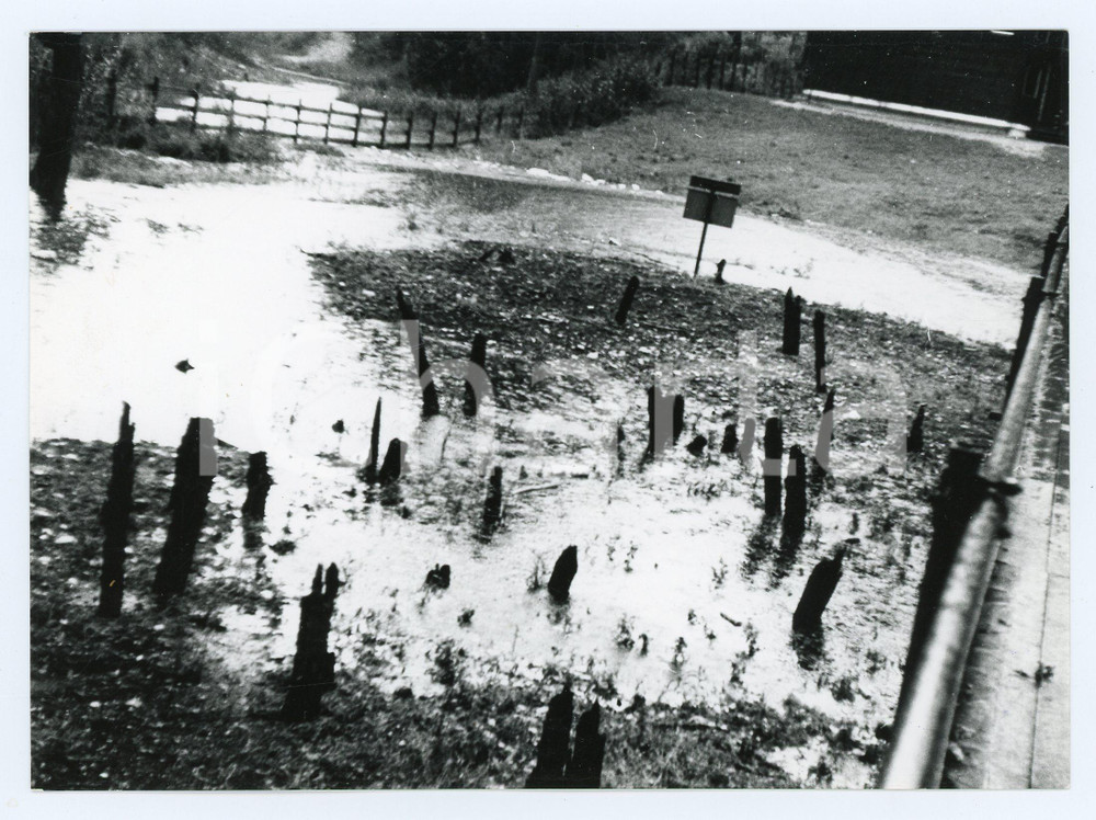 1977 LAGO DI LEDRO Resti di palafitte a MOLINA DI LEDRO - Foto 18x13 cm Fotografia d'epoca con didascalia manoscritta al verso.  FAIR/discreto Lievi smussature agli angoli Formato: 18x13 cm originale e autentica 1