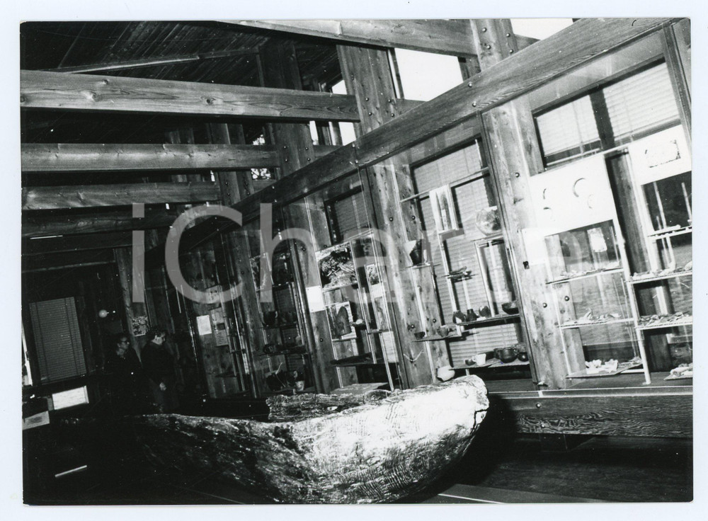 1977 LAGO DI LEDRO Museo delle palafitte - Sala interna - Foto 18x13 Fotografia d'epoca con didascalia manoscritta al verso.  FAIR/discreto Lievi smussature agli angoli Formato: 18x13 cm originale e autentica 1