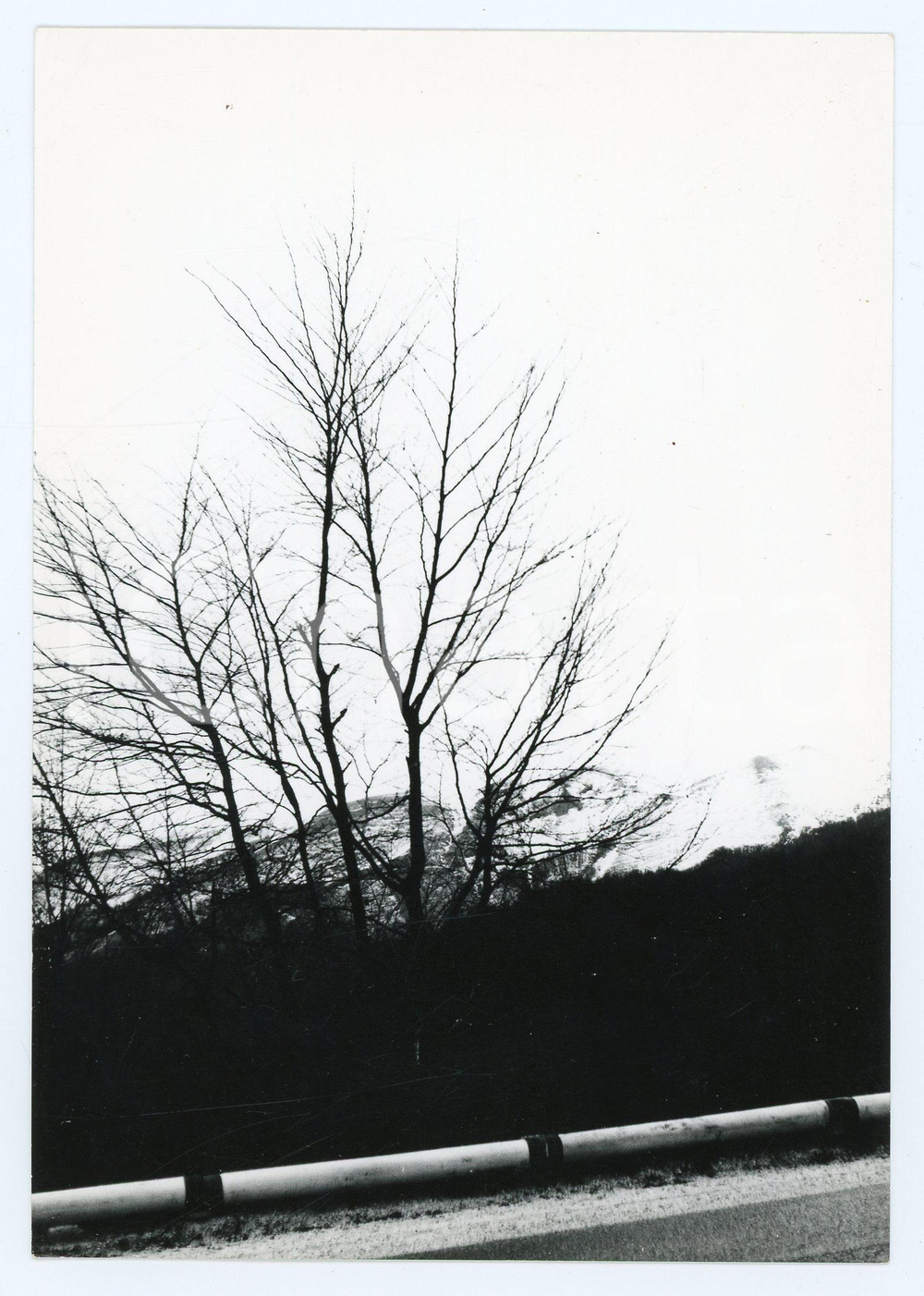 1979 RIETI Massiccio del Terminillo - Campoforogna - Foto 13x18 cm (2) Fotografia d'epoca con didascalia manoscritta al verso.  FAIR/discreto Lievi smussature agli angoli Formato: 13x18 cm originale e autentica 1