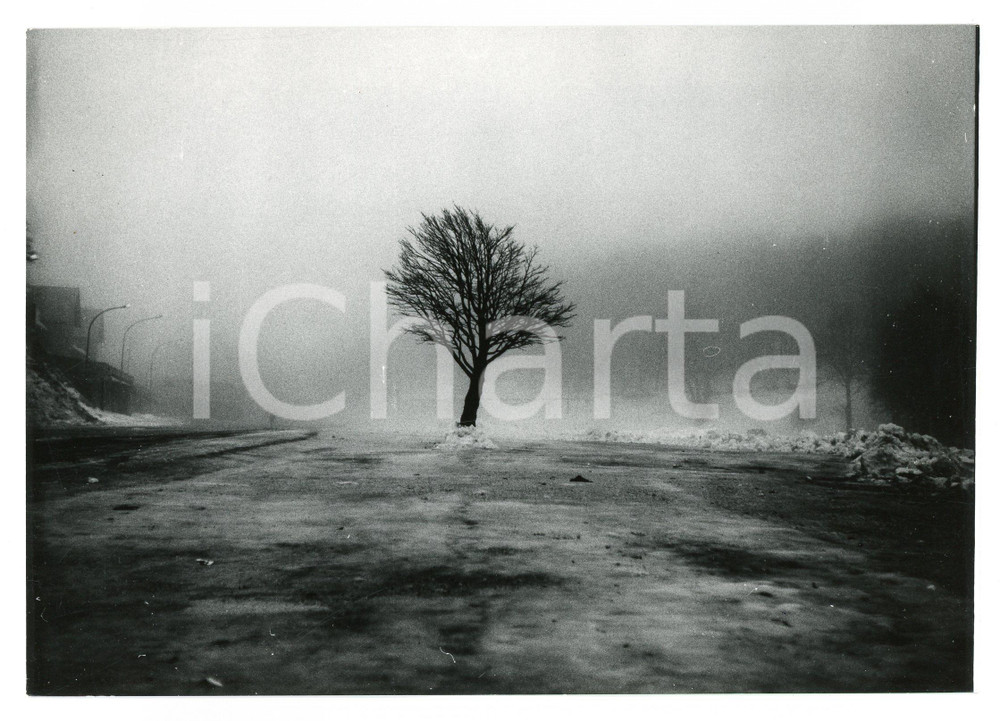 Fotografia d epoca originale 1979 RIETI Massiccio del Terminillo  Campoforogna  Foto 18x13 cm 1 1