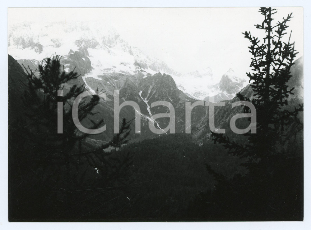 1977 ALPI RETICHE Cima Presanella - Valle Vermiglio - Foto 18x13 cm Fotografia d'epoca con didascalia manoscritta al verso.  FAIR/discreto Lievi smussature agli angoli Formato: 18x13 cm originale e autentica 1