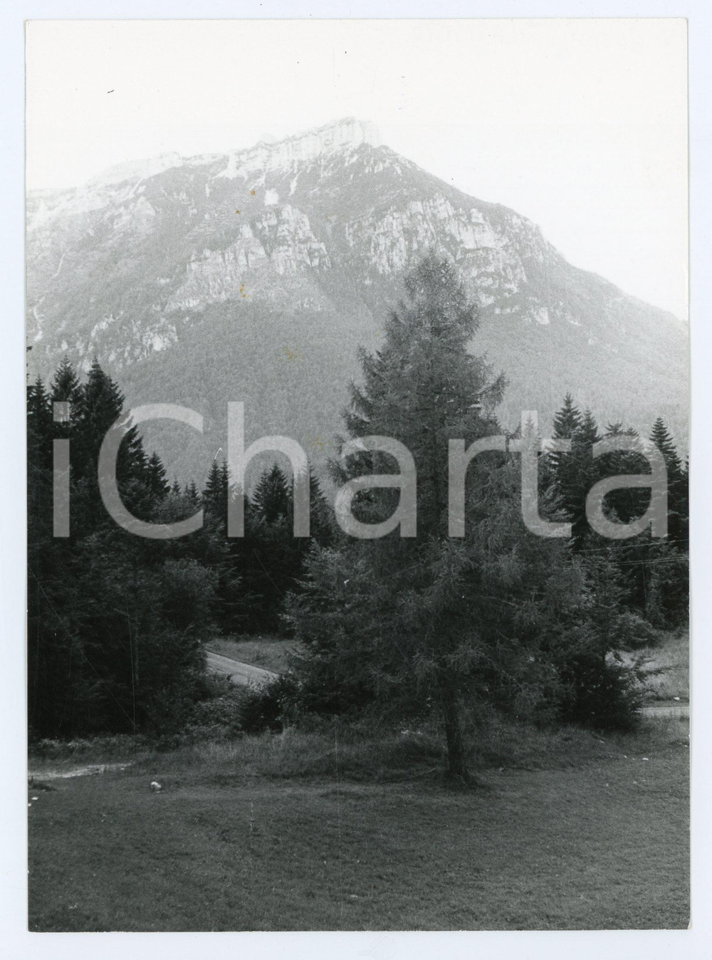 1982 FOLGARIA Frazione di VIRTI (TN) Panorama montano - Foto 13x18 cm Fotografia d'epoca con didascalia manoscritta al verso.  FAIR/discreto Lievi smussature agli angoli, lievi difetti di stampa Formato: 13x18 cm originale e autentica 1