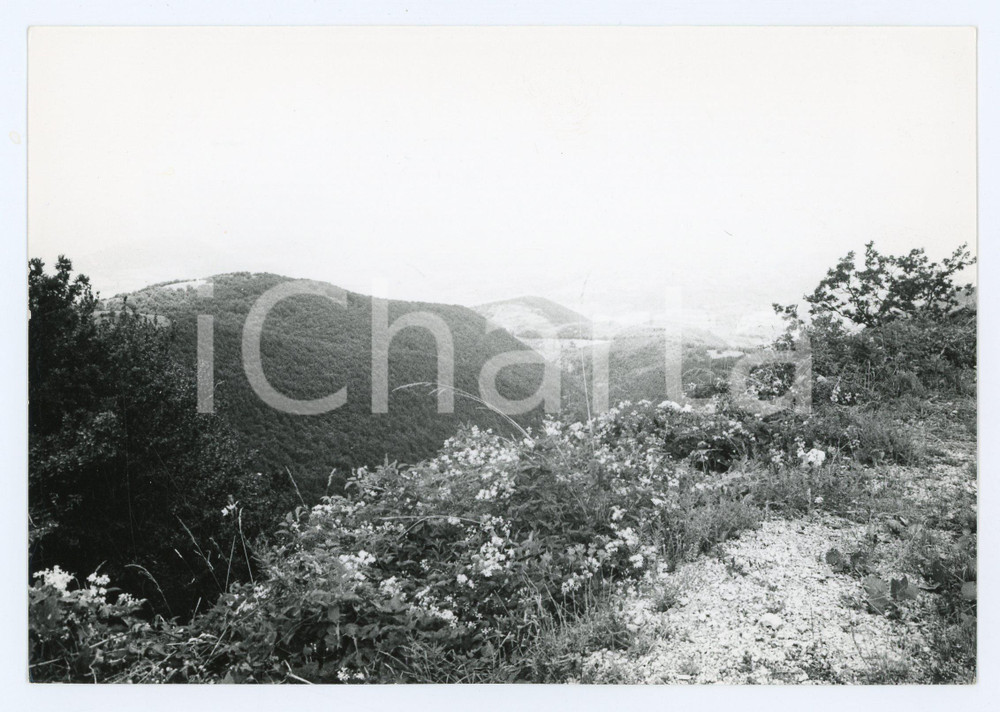 1978 RIETI Massiccio del Terminillo - Panorama estivo - Foto 18x13 cm Fotografia d'epoca con didascalia manoscritta al verso.  FAIR/discreto Lievi smussature agli angoli, lievi difetti di stampa Formato: 18x13 cm originale e autentica 1