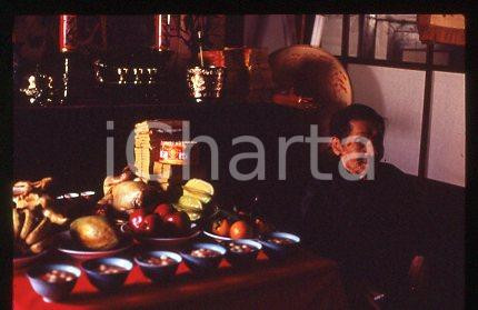 Kei KUMAI Film Director - CINEMA Maestro del tè 1989 * 35 mm vintage slide 1