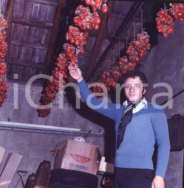 6X6cm NEGATIVO ORIGINALE * 1970ca MINO REITANO (33)