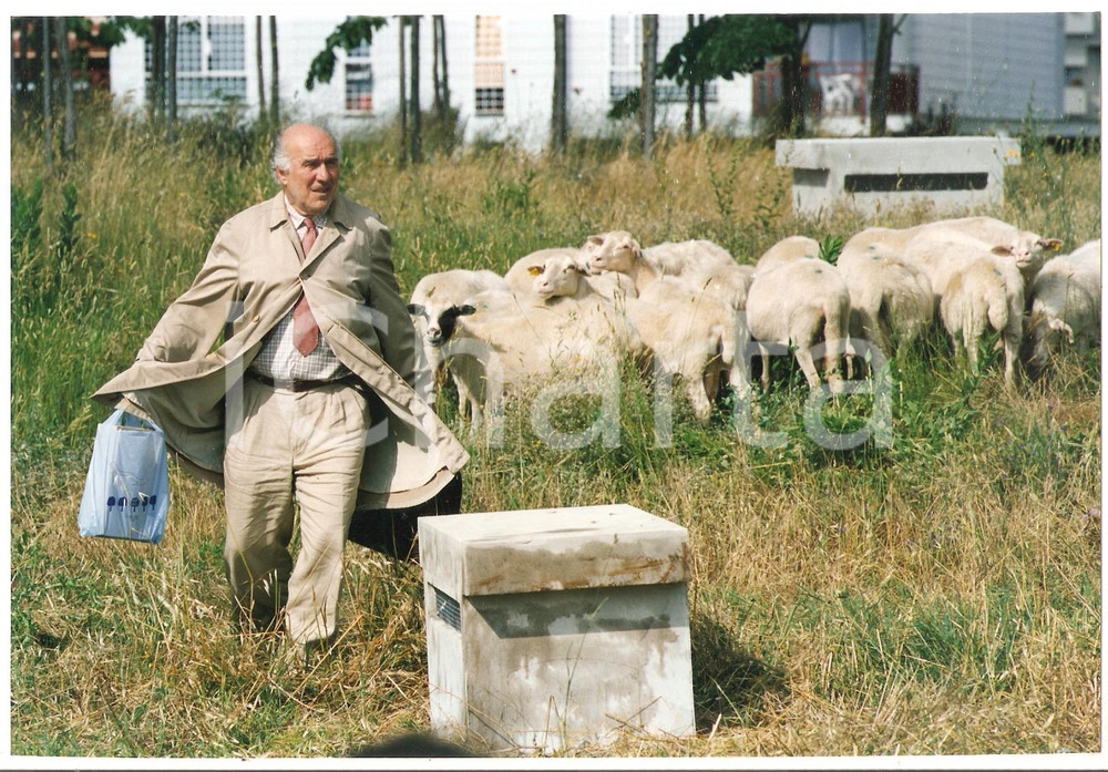 1996 COMPAGNA DI VIAGGIO Michel PICCOLI con gregge di pecore *Foto 20x14 cm