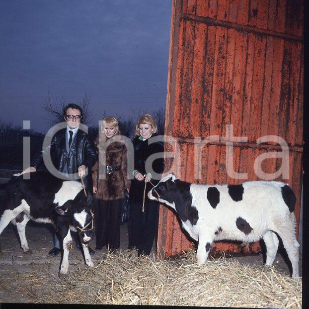 6X6cm NEGATIVO ORIGINALE * 1970ca MIRELLA FRENI (1)