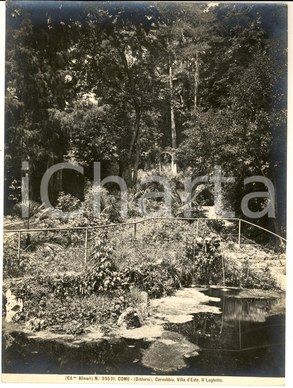1935 ca CERNOBBIO - Villa d'Este -Il laghetto *Foto artistica ALINARI 19x24