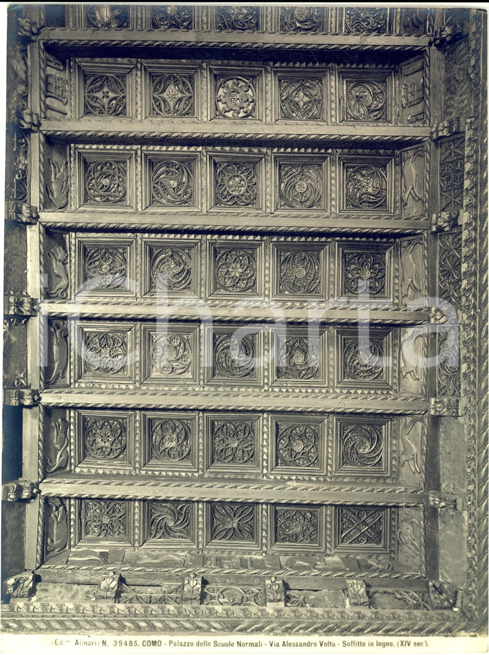 1935 ca COMO Palazzo delle Scuole Normali - Soffitto in legno *Foto ALINARI