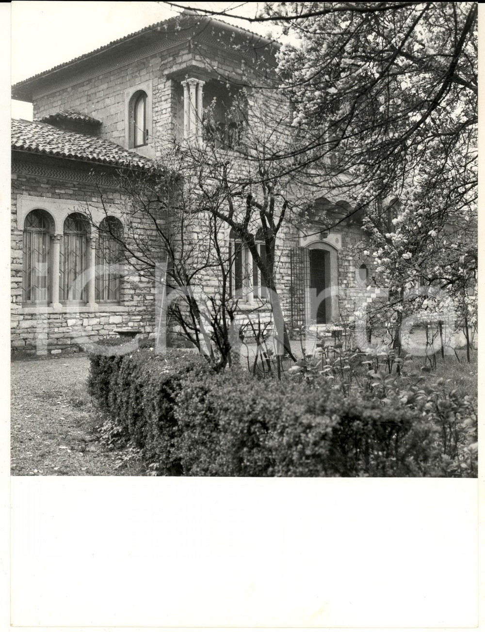 1960 ca BORGOLOMBARDO Veduta di Villa VOLONTE' con il giardino  - Foto 18x24 cm Fotografia d'epoca. CONDIZIONI: G  FORMATO:  18x24 cm      originale e autentica 1