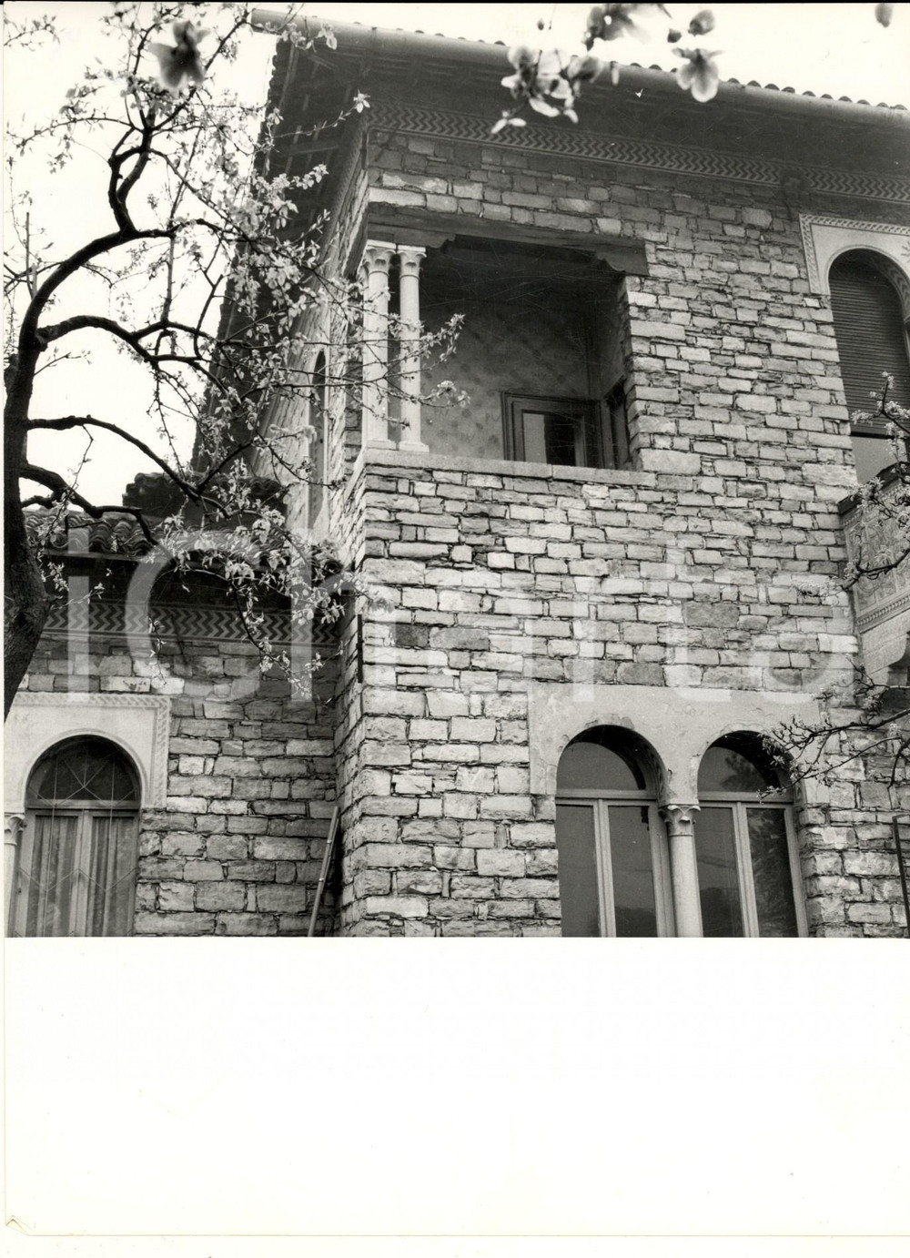 1960 ca BORGOLOMBARDO Scorcio di Villa VOLONTE'  - Foto ARTISTICA 18x24 cm