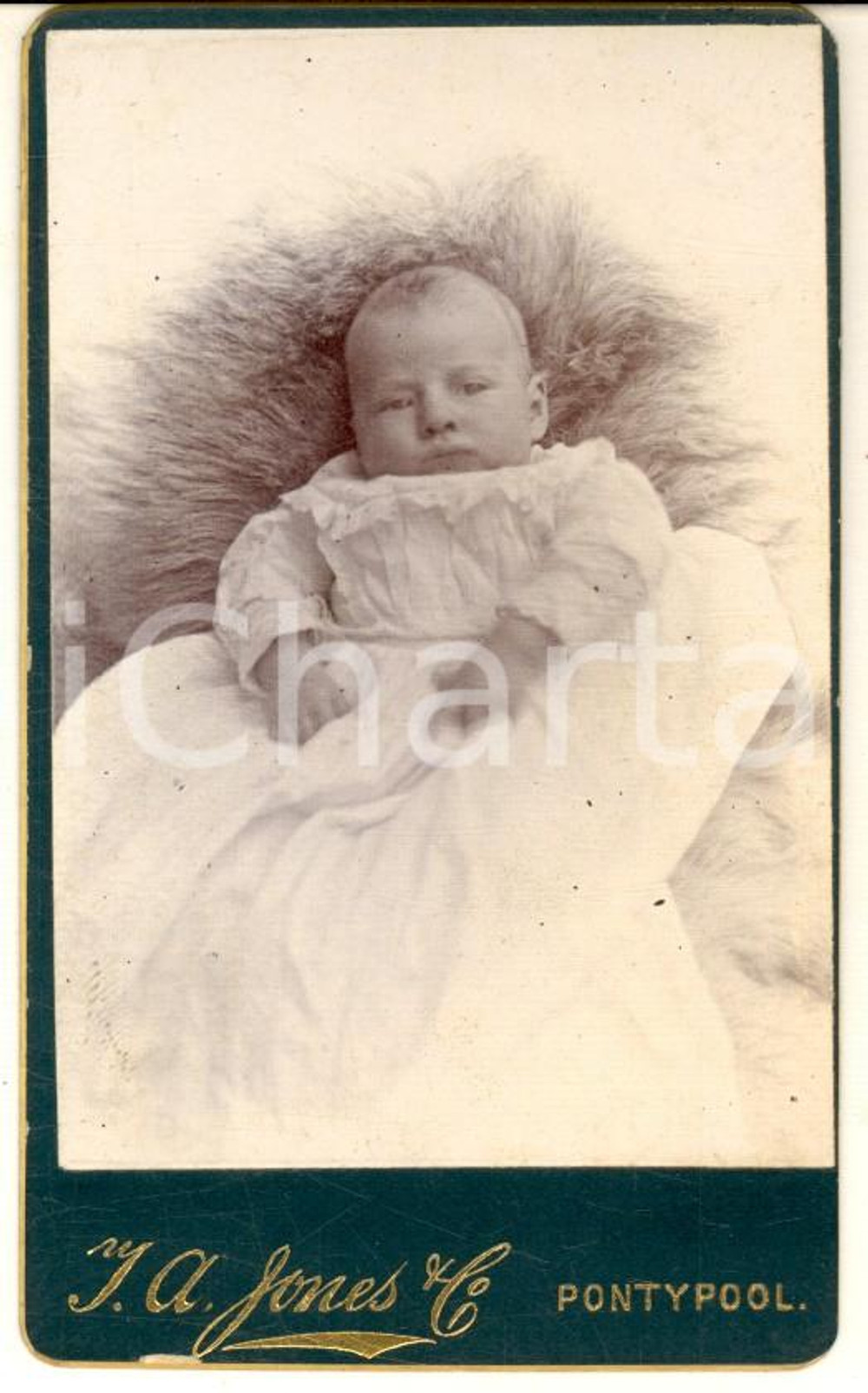 1880 ca PONTYPOOL Portrait of baby George RODERICK WEBB - Photo J. A. JONES CDV Fotografia d'epoca, su cartoncino rigido.  CONDIZIONI: GE' severamente vietata la riproduzione. Tutti i diritti sono riservati.     originale e autentica 1