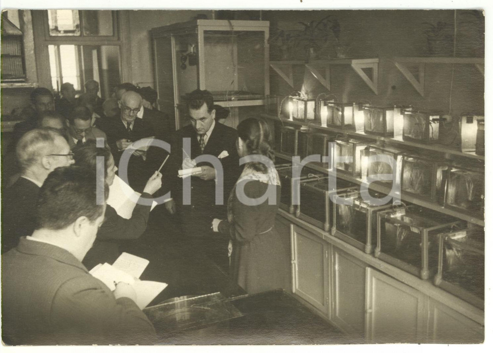 1955 ca MOSCA (URSS) Socialisti italiani visitano collegio maschile - Foto 18x13 Fotografia d'epoca con didascalia coeva al verso.La fotografia &egrave; relativa alla visita di una delegazione socialista italiana nella Kiev dell'ex URSS, tra universit&agrave; e mondo rurale.Facevano parte della delegazione l'on. Alcide Malagugini e Francesco Flora.  CONDIZIONI: G (ma minime abrasioni ai margini) CONDIZIONI: 18x13 cm    originale e autentica 1