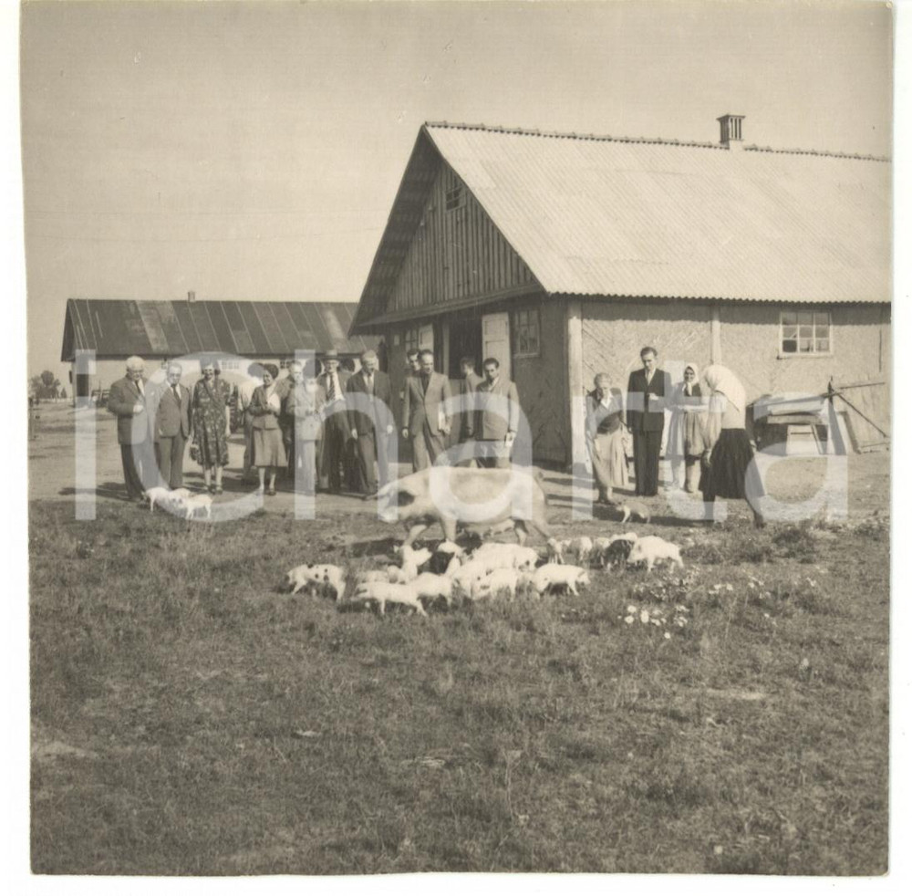 1955 ca KIEV (URSS) Socialisti italiani visitano fattoria di un kolchoz *Foto