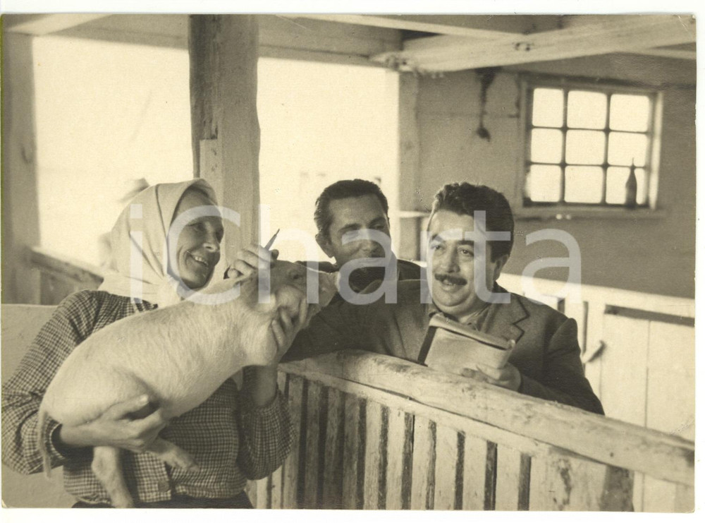 1955 ca KIEV (URSS) Una stachanovista allevatrice di maiali - Foto 12x18 cm