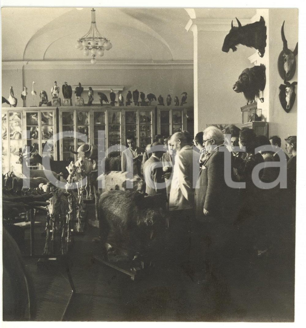 1955 ca UNIVERSITÀ DI KIEV (URSS) Delegazione socialista in visita al museo FOTO