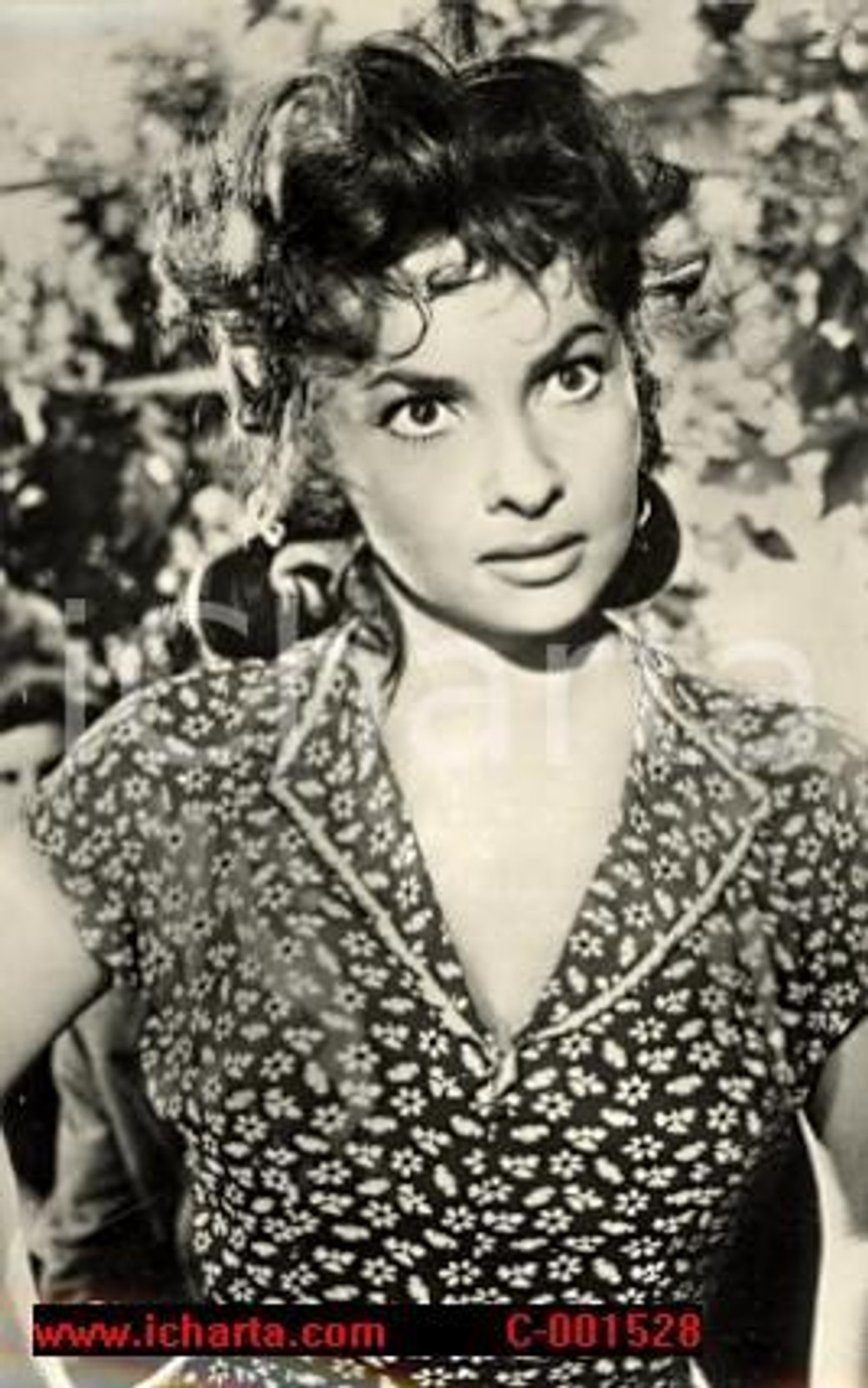 Cartolina originale da collezione 1965ca GINA LOLLOBRIGIDA Foto seriale cartolina FG NV 1