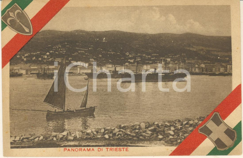 Cartolina originale da collezione 1920 ca TRIESTE ITALIANA Panorama del porto - Cartolina LA FIDUCIARIA FP NV 1