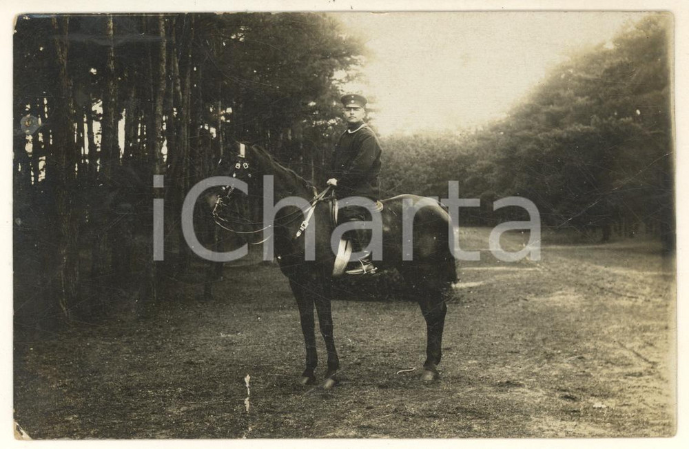 Fotografia d'epoca originale 1914 MAINZ-KASTEL (D) Portrait of feldmarschall Johann SEELY *DAMAGED Photo 1