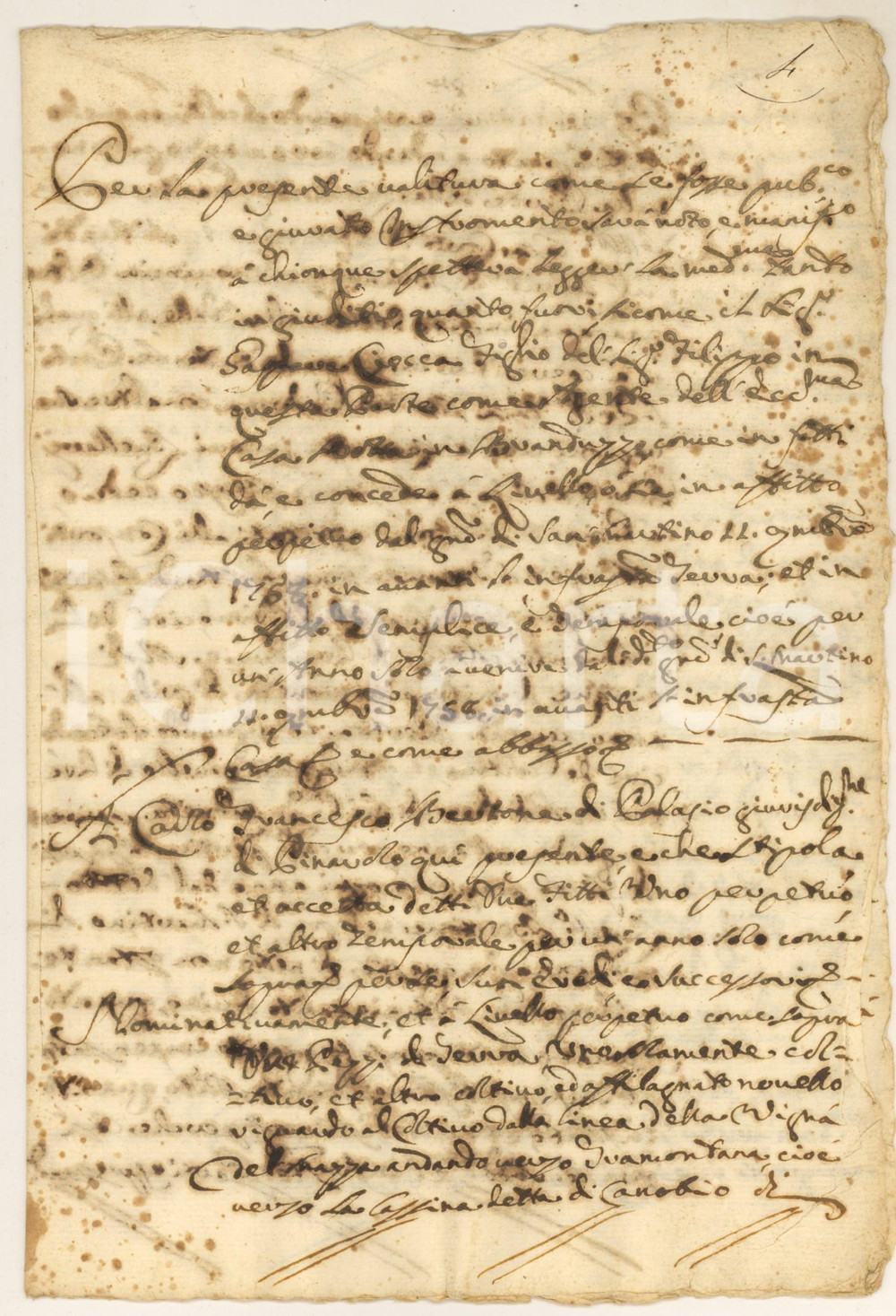 Documento originale, autentico 1758 CASTELLETTO DI BRANDUZZO Livello perpetuo terre a Carlo Francesco BERTONE 1