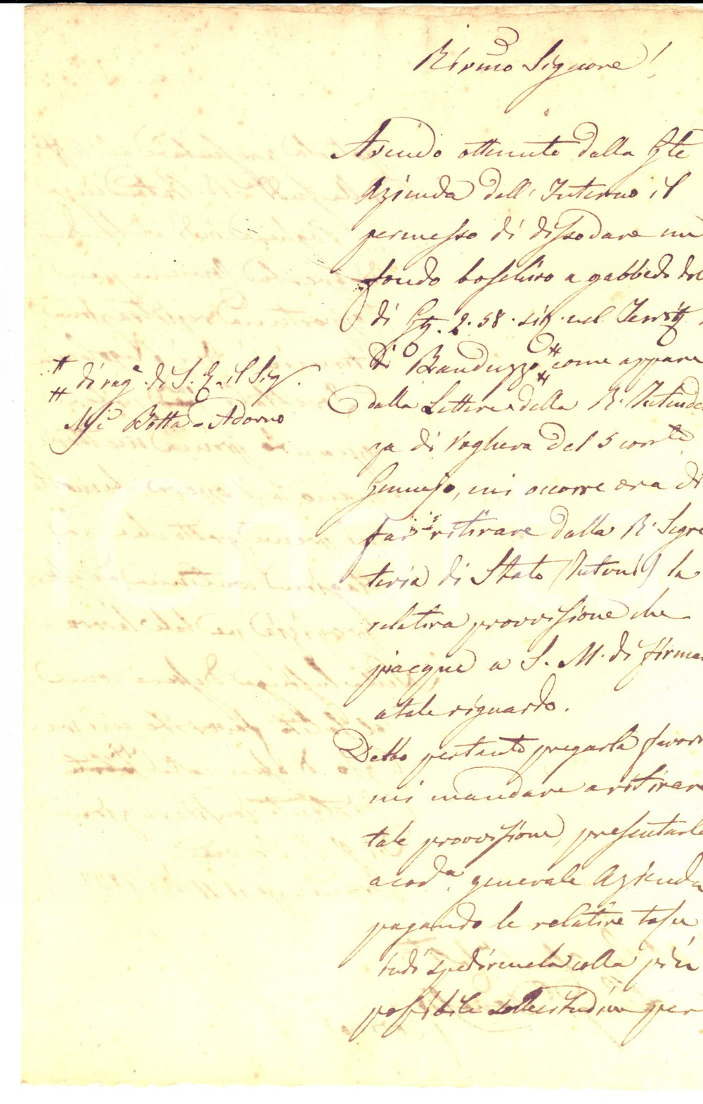 Documento originale, autentico 1833 CASTELLETTO DI BRANDUZZO Lettera per il dissodamento di un fondo boschivo 1