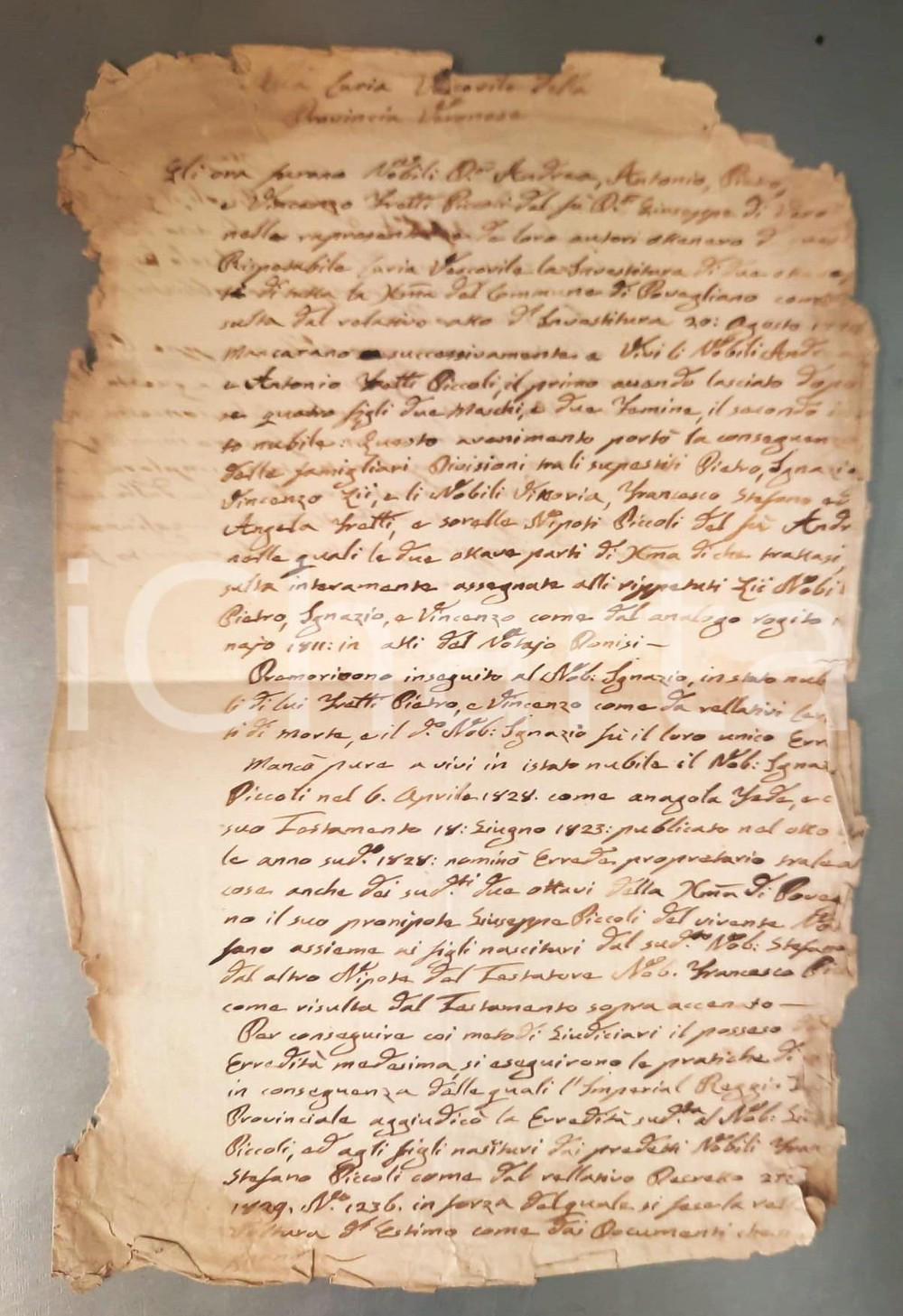 Documento originale, autentico 1833 POVEGLIANO (TV) Ricorso nobile Giuseppe PICCOLI per investitura decime 1