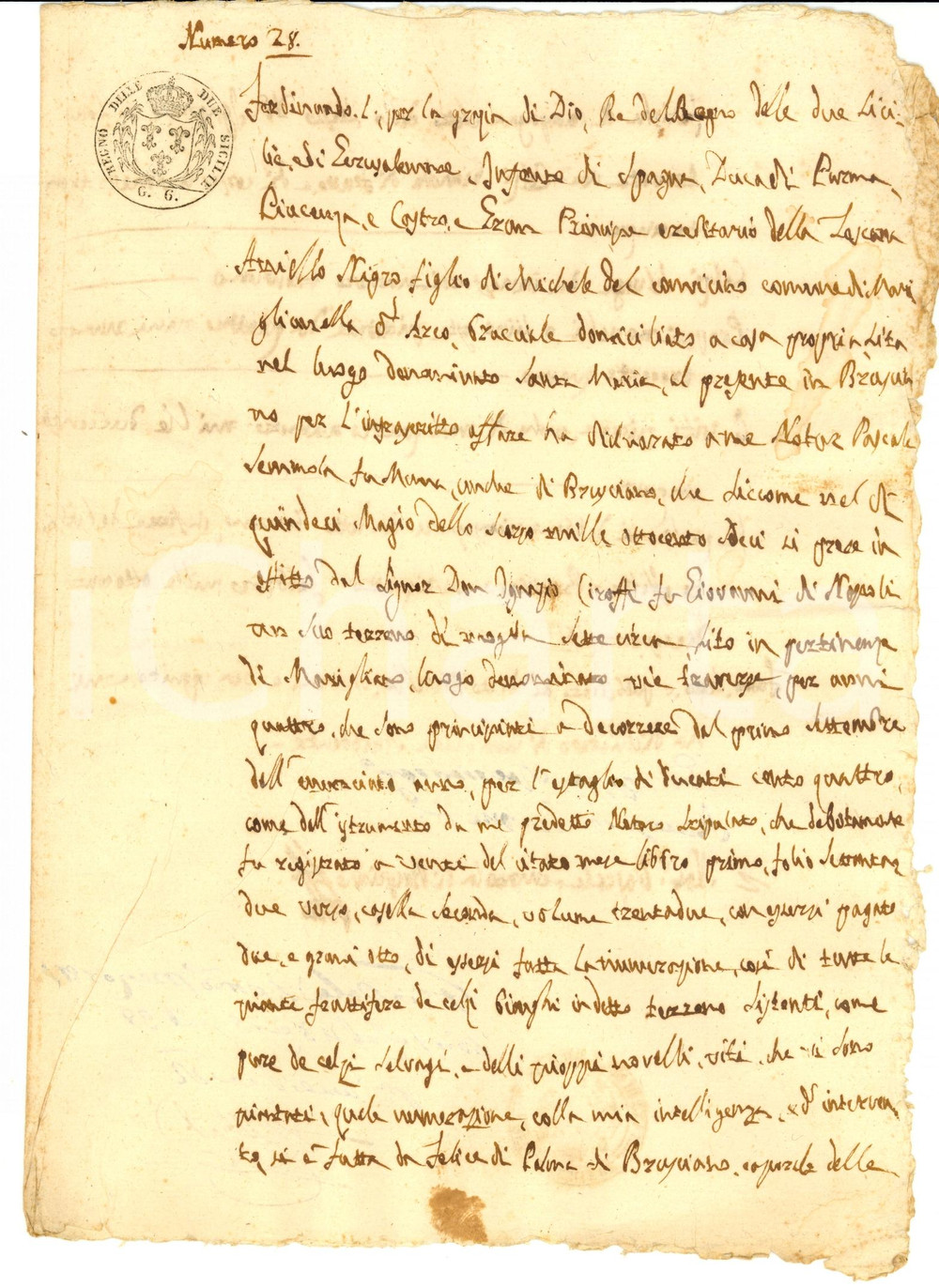 Documento originale, autentico 1817 MARIGLIANO NA Don Ignazio CIROFFI affitta terra ad Aniello NIGRO 1