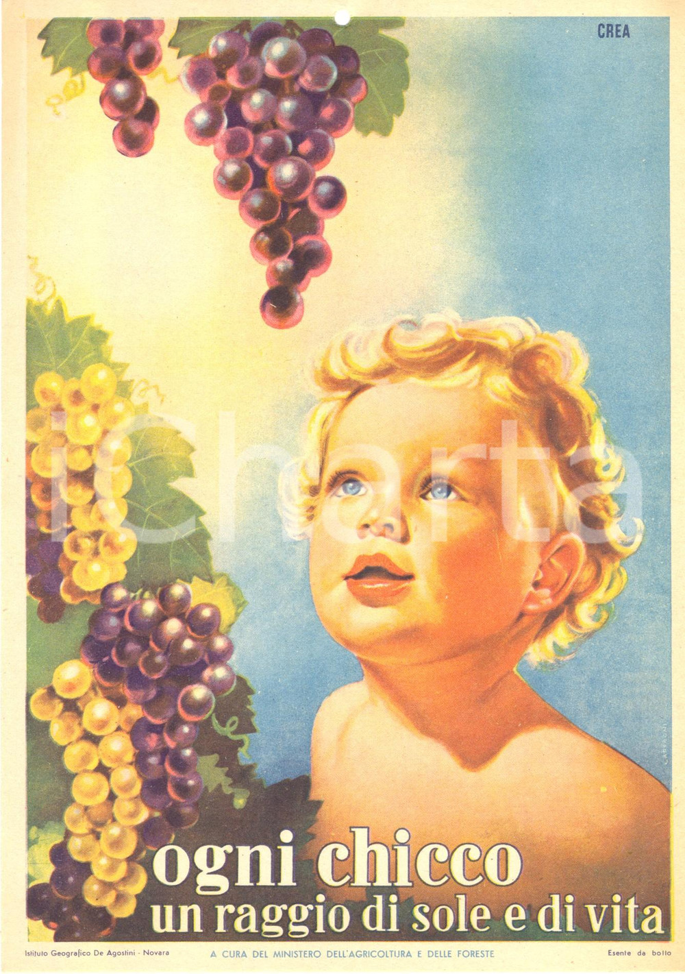 Materiale pubblicitario d’epoca 1950 circa VINI CREA Un raggio di sole  Ill. Federico CARFAGNI Pannello 1