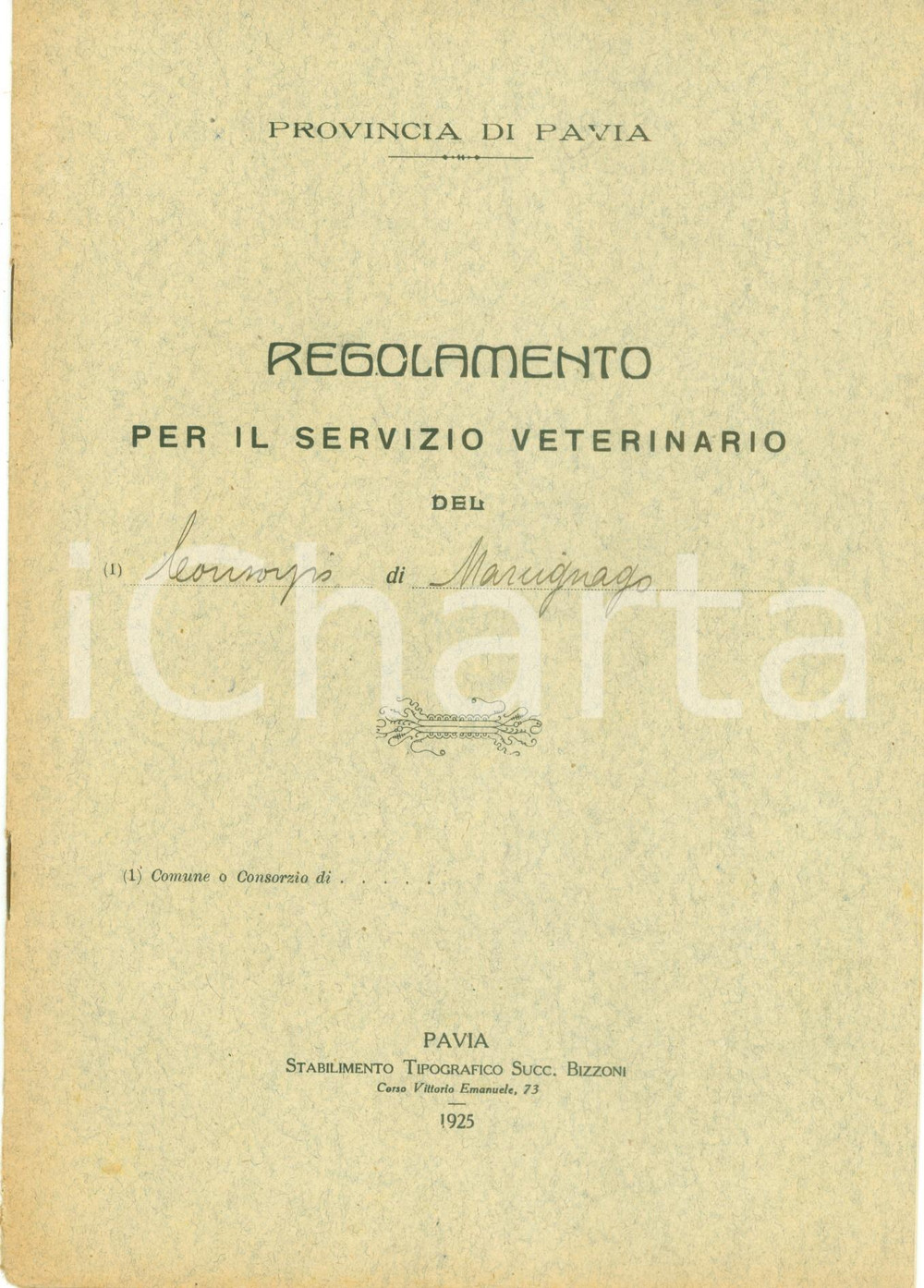 Libro, pubblicazione d'epoca 1925 PAVIA Regolamento per il servizio veterinario *Pubblicazione 1