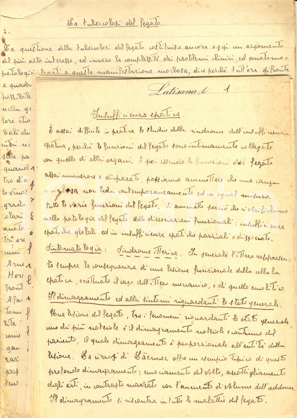 Documento originale, autentico 1930 ca LATISANA UD Saggio sulle malattie del fegato Manoscritto 42 pp. 1