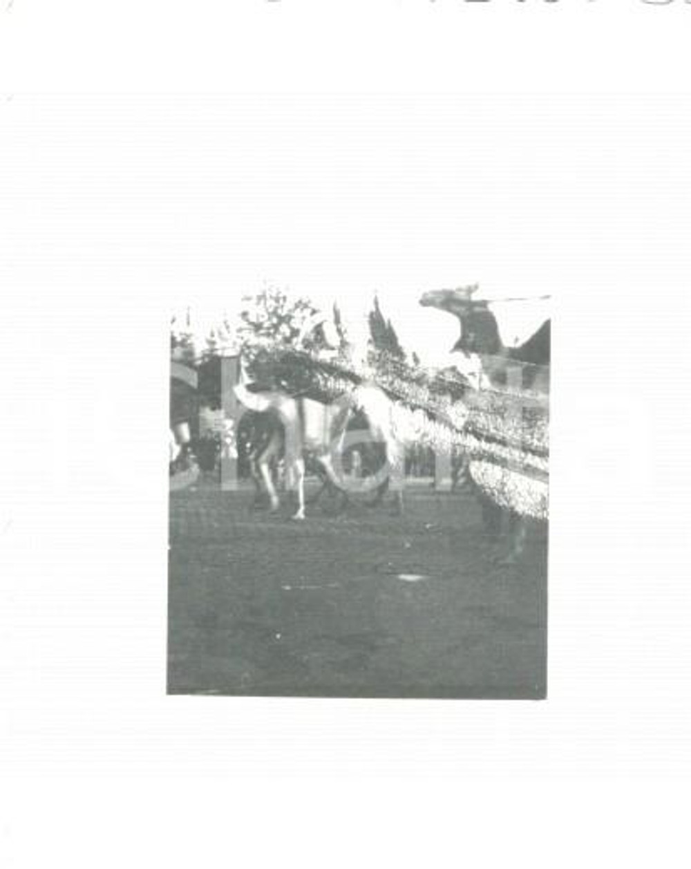 Fotografia d'epoca originale 1937 ROMA Sfilata africani delle TRUPPE COLONIALI ITALIANE *Foto 6,5 x 5 1