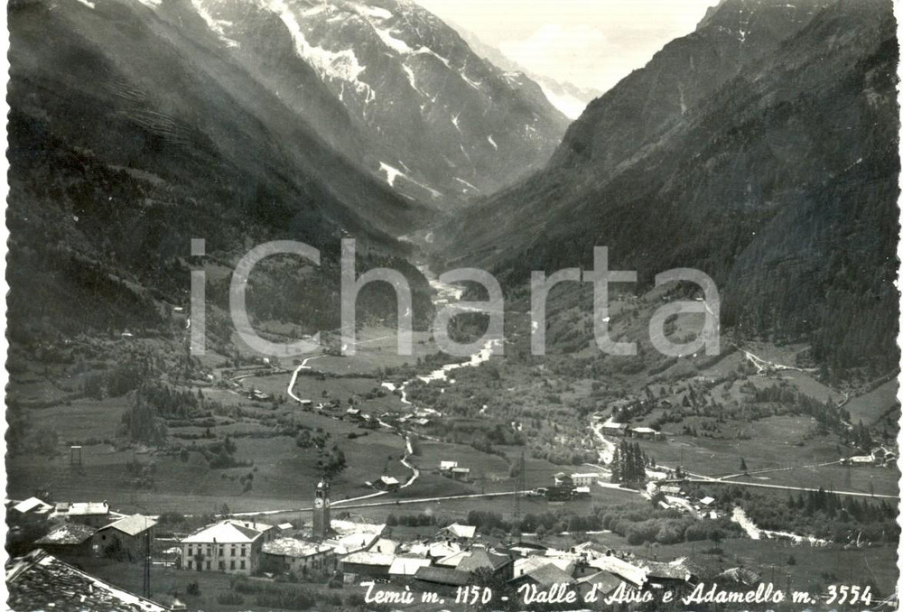 Cartolina originale da collezione 1957 TEMU' (BS) Panoramica della valle d'AVIO e ADAMELLO *Cartolina FG VG 1