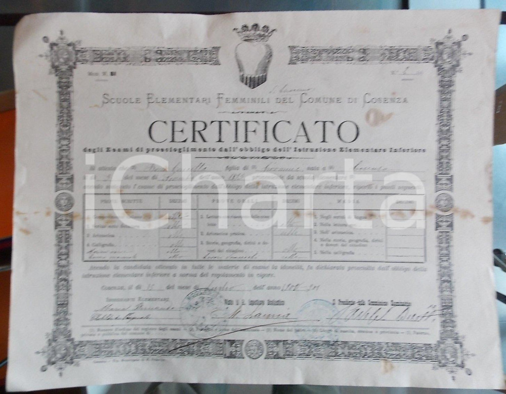 Documento originale, autentico 1901 COSENZA Scuole Elementari Femminili Certificato di Concetta BOSCO 1
