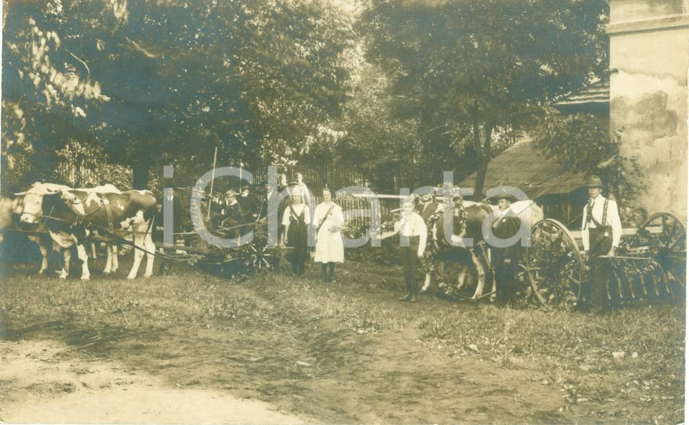 Fotografia d epoca originale 1922 RODERLAND D Rurali nella stagione dell aratura a HAIDA Fotocartolina 1