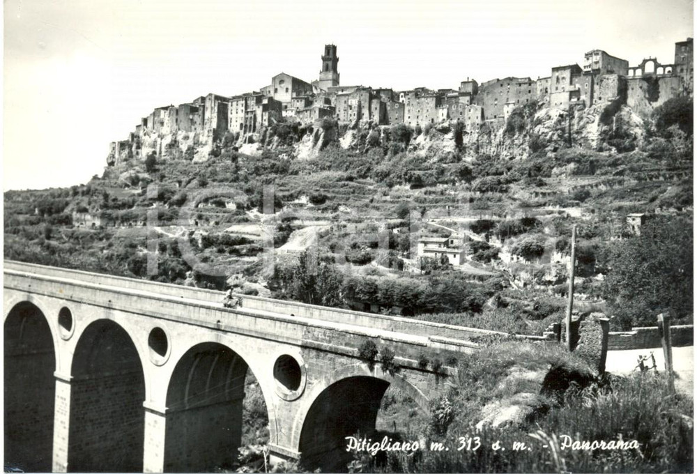 Cartolina originale da collezione 1966 PITIGLIANO GR Panoramica del centro storico del paese Cartolina FG VG 1
