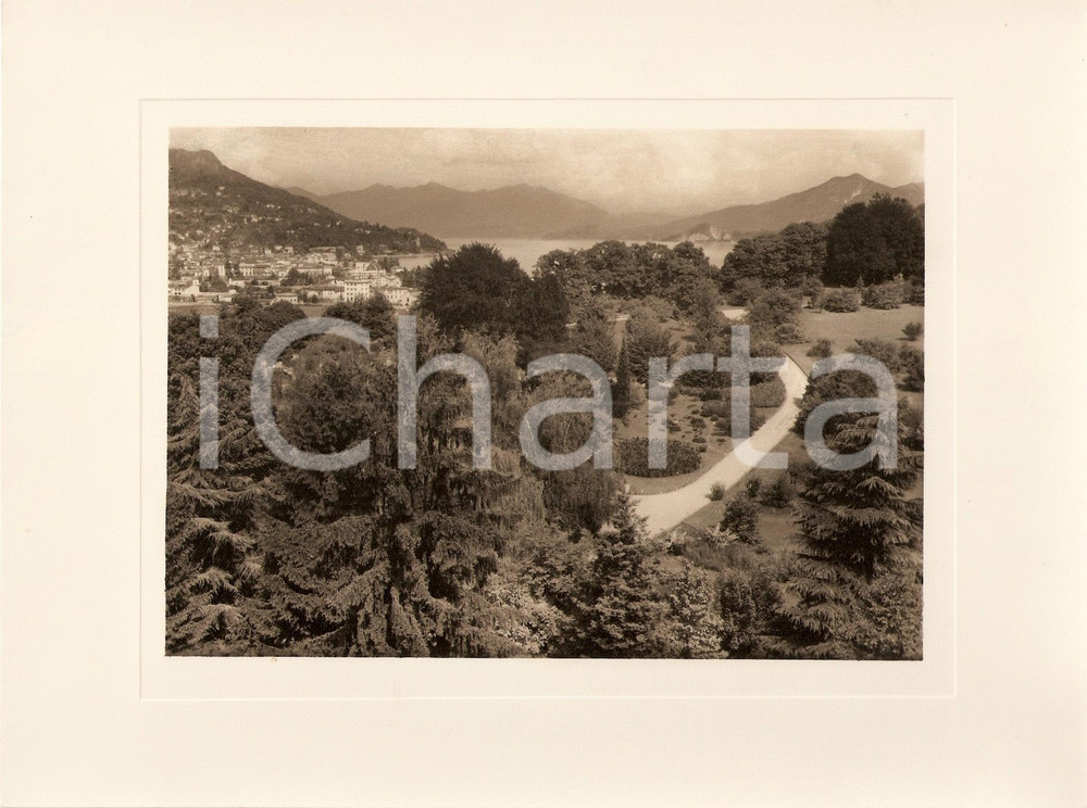 Fotografia d epoca originale 1940 ca INTRA Villa TARANTO Giardino botanico LAGO MAGGIORE Foto AUTENTICA 1
