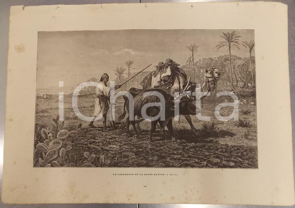 Stampa, bozzetto originale 1886 MERVEILLES ART MODERNE Richard BEAVIS Laboureur de la basseEgypte Stampa 1