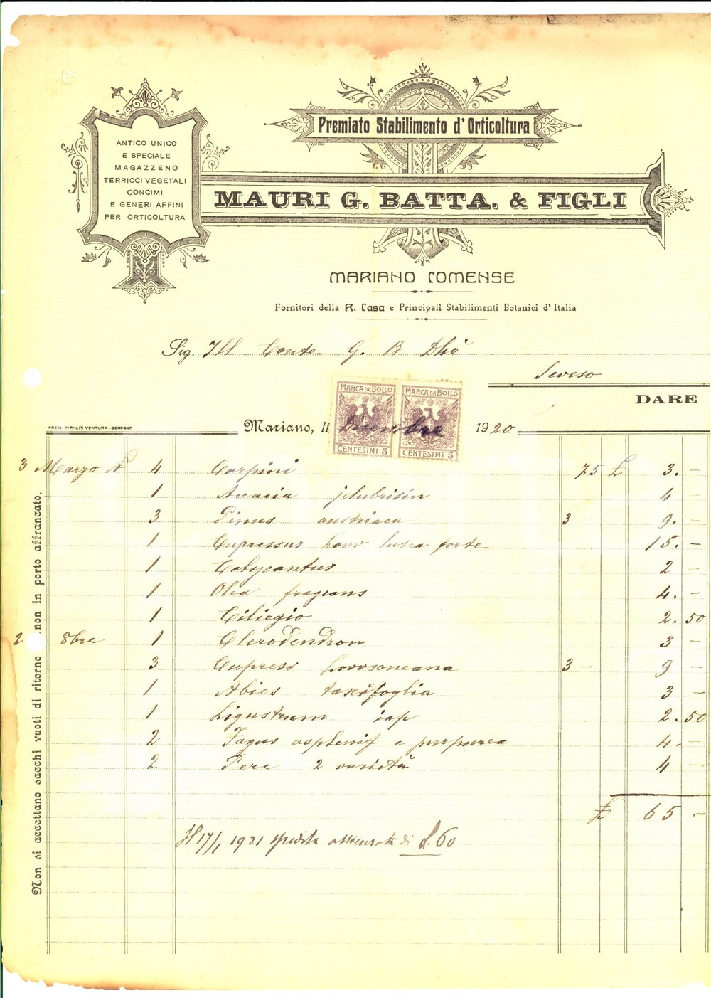 Documento originale, autentico 1920 MARIANO COMENSE Stabilimento orticoltura Giovanni Battista MAURI Fattura 1