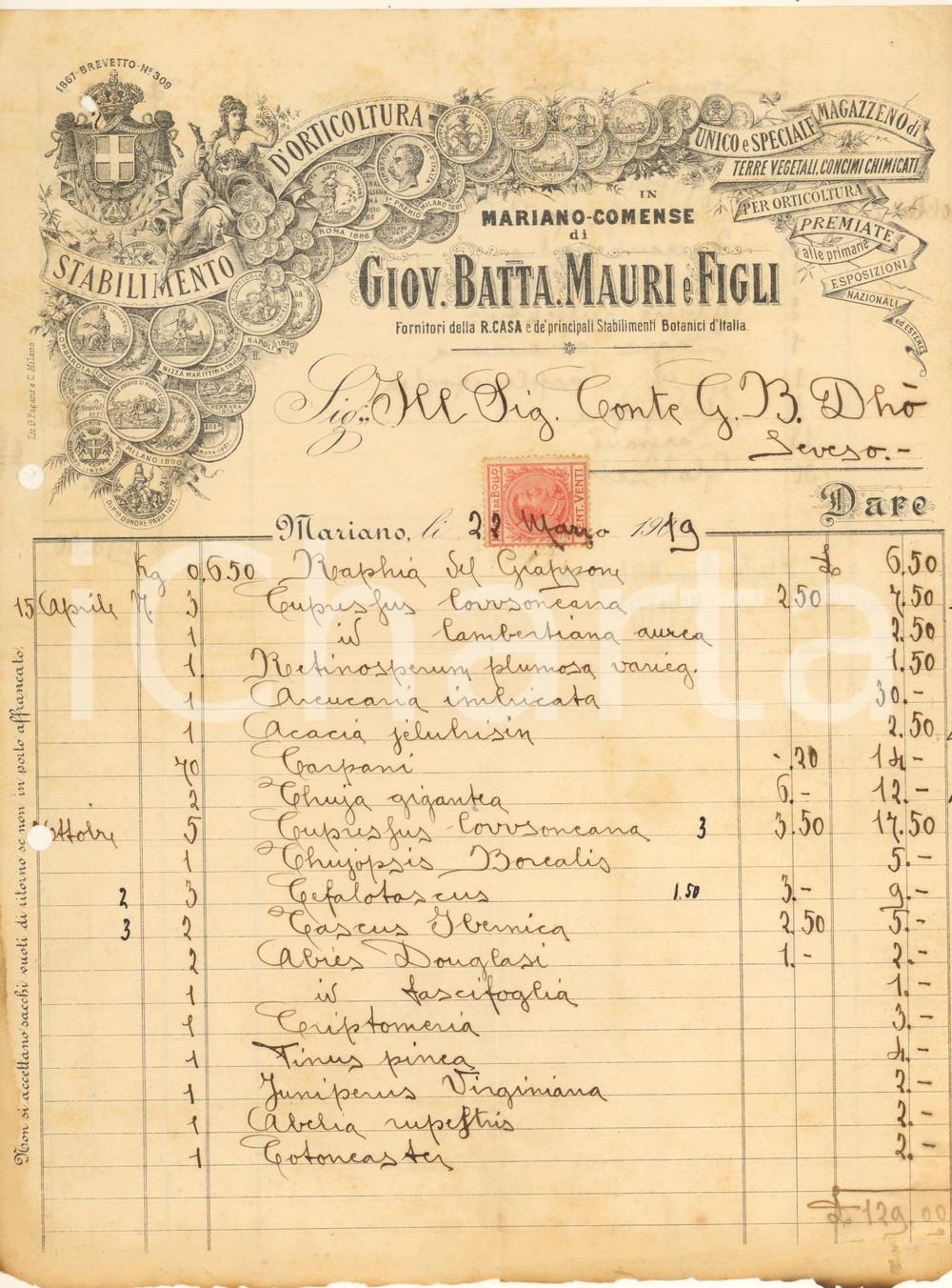 Documento originale, autentico 1919 MARIANO COMENSE Stabilimento orticoltura Giovanni Battista MAURI Fattura 1