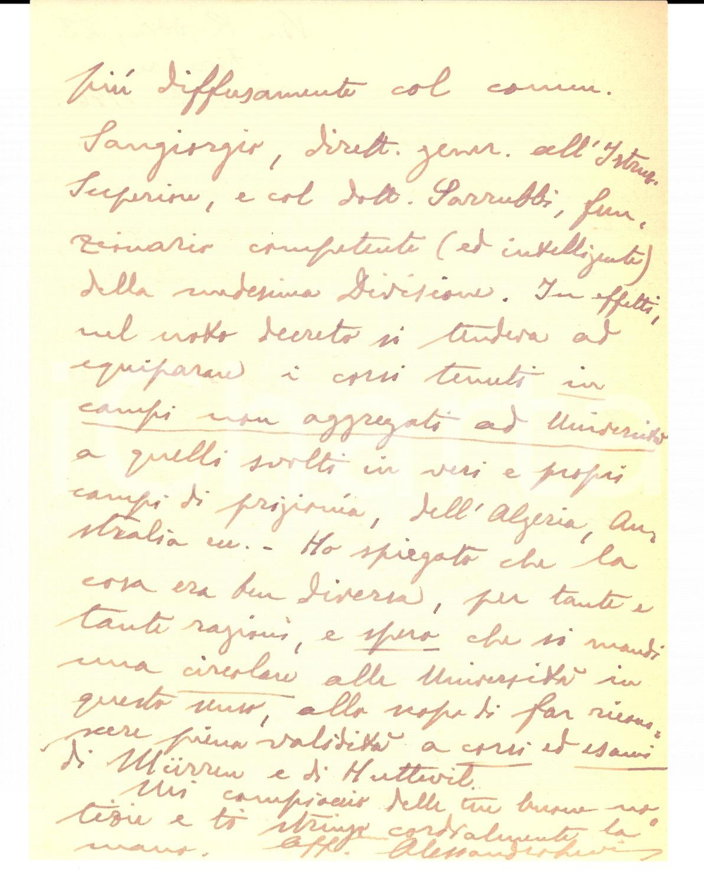 Autografo originale 1946 FIRENZE Alessandro LEVI su corsi tenuti ai prigionieri di guerra AUTOGRAFO 1