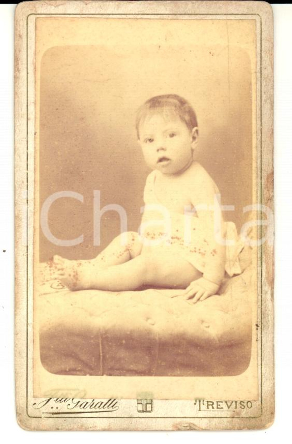 Fotografia d'epoca originale 1900 ca TREVISO Ritratto di bambino sul divanetto *Foto F.lli GARATTI 1