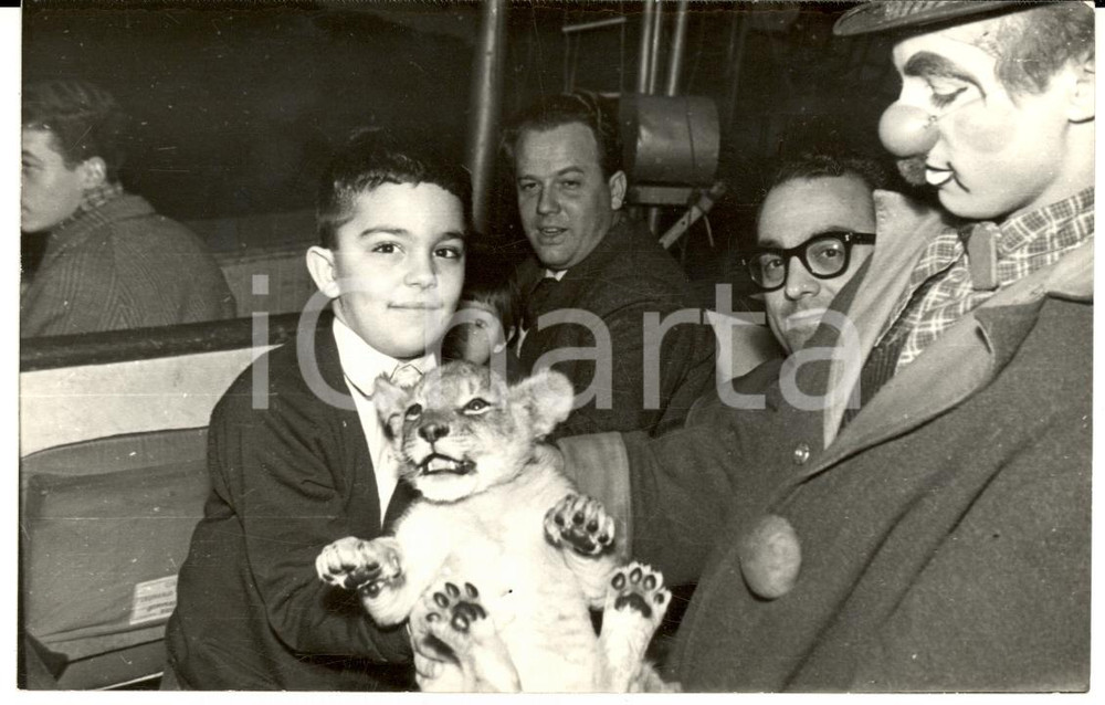 Fotografia d epoca originale 1958 MILANO CIRCO TOGNI Bambino con un cucciolo di leone Foto VINTAGE 1 1