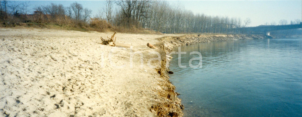 Fotografia d'epoca originale 1990 ca PAVIA SAN LANFRANCO Panorama in riva al fiume TICINO *Foto 29x11 cm 1