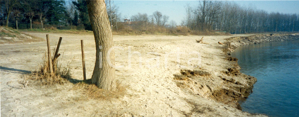 Fotografia d'epoca originale 1990 ca PAVIA SAN LANFRANCO Veduta artistica riva del TICINO *Foto 29x11 cm 1